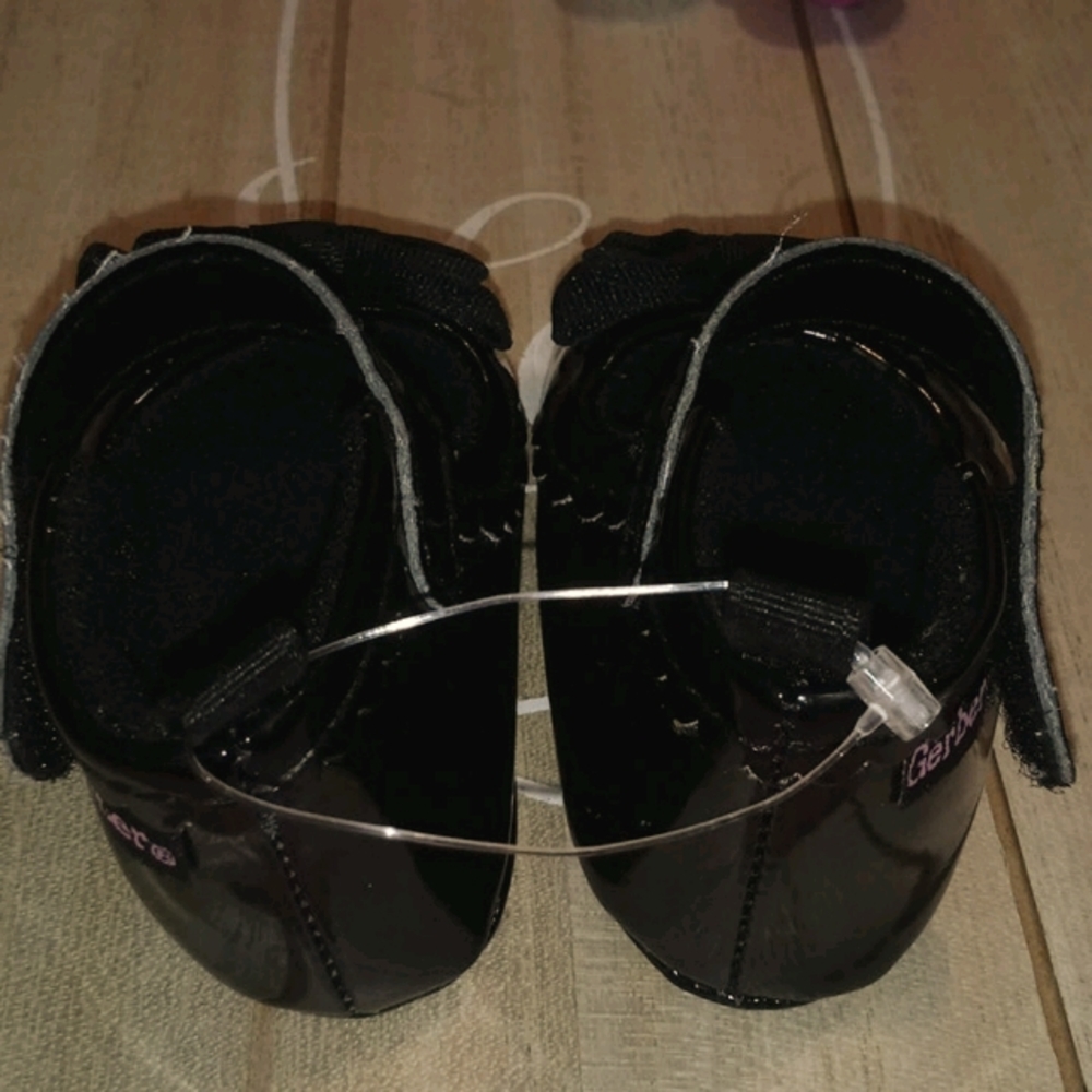 Gerber Flats - Picture 4 of 5